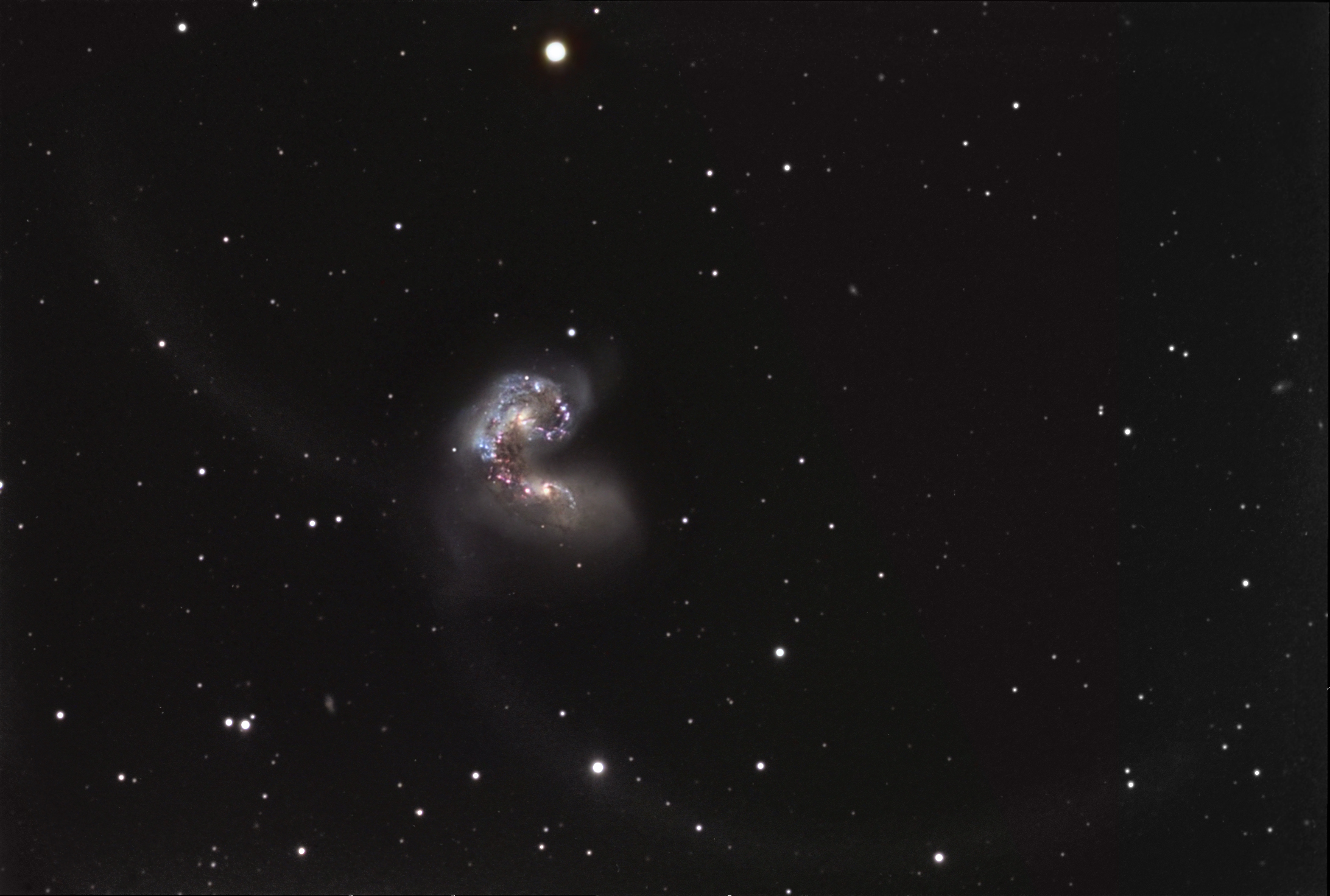 NGC4038fin3.jpg